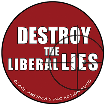 Destroy The Liberal Lies magnet