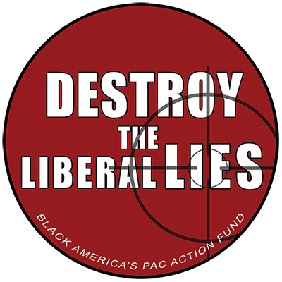 Destroy The Liberal Lies Magnet