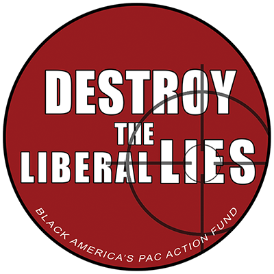 Destroy The Liberal Lies Magnet